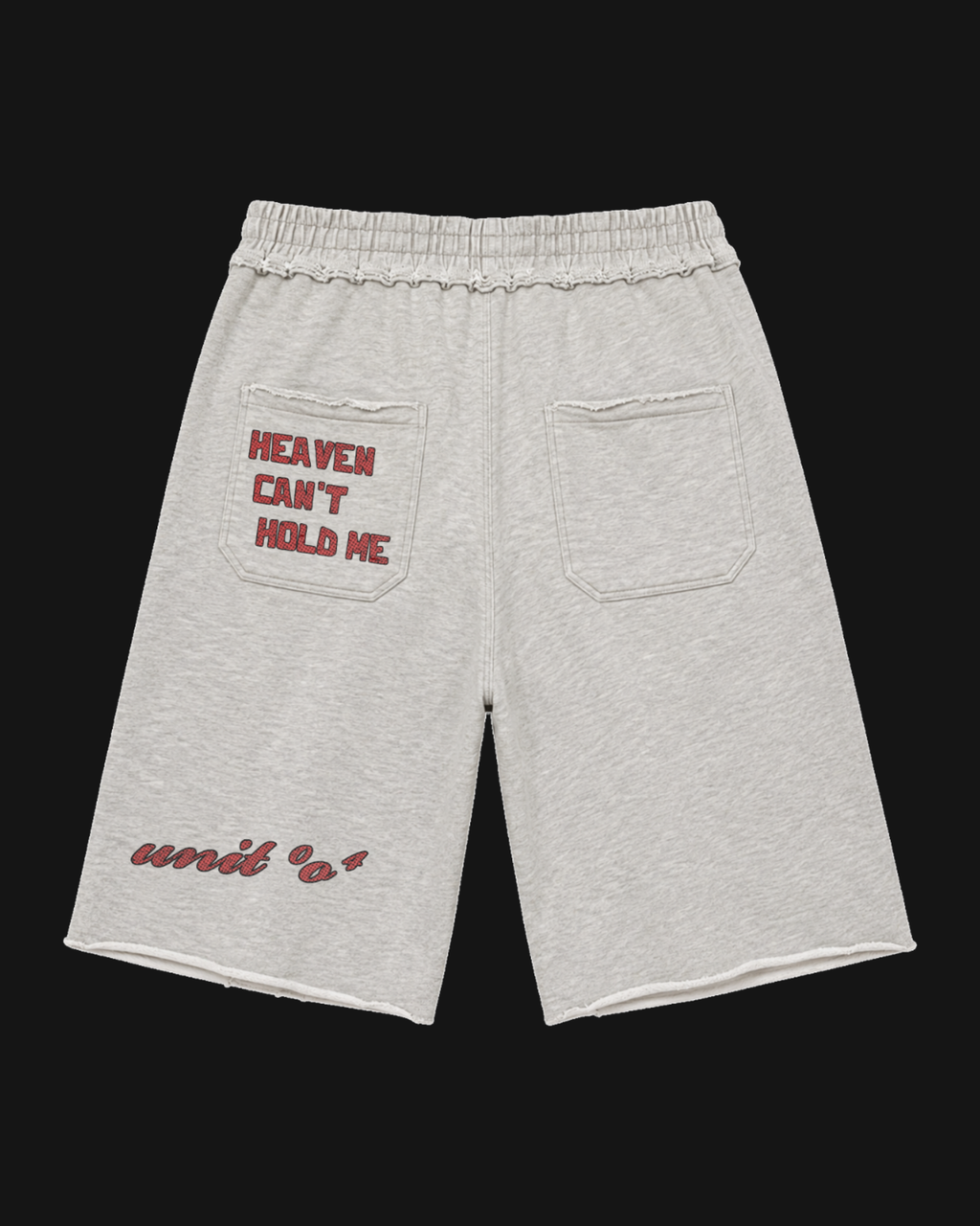 Damaged Hollywood Distressed Shorts